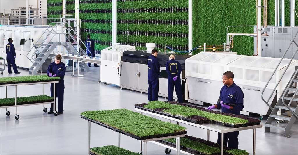Avec 70 % des individus amenés à vivre en ville d’ici 30 ans, les fermes verticales apparaissent comme une solution envisageable pour nourrir la population mondiale. La start-up américaine Plenty travaille sur un système optimisé par l’intelligence artificielle.