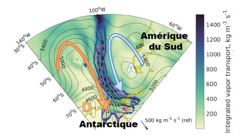 Les contours violet et bleu montrent les limites au 25 mai d’une rivière atmosphérique ayant contribué à l’événement de fonte du 25 au 30 mai 2016. Les flèches noires représentent le transport de vapeur d’eau au cœur de la rivière. Les grandes flèches montrent le sens de rotation des masses d’air autour du centre dépressionnaire (D) et de l’anticyclone (A).