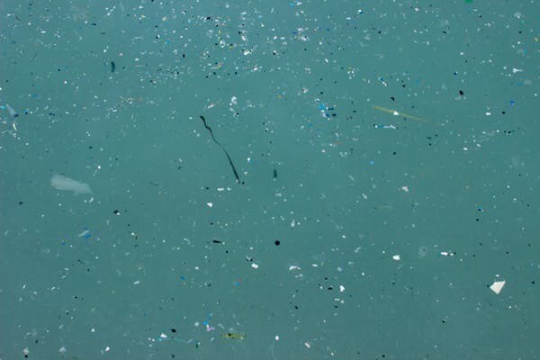 Les microplastiques sont des morceaux de plastique plus petits qu’un grain de riz. Ils polluent l’écosystème qui les entoure et s’introduisent dans la chaîne alimentaire