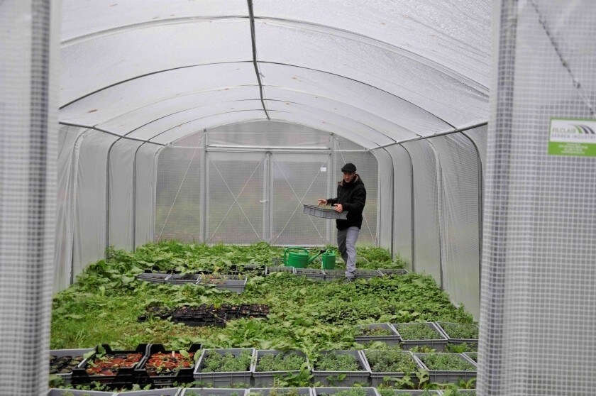 Cyril Benoit-Gonin, éco-jardinier et médiateur végétal