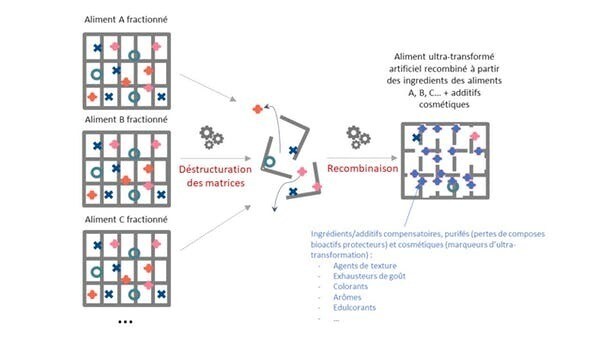 Schéma conceptuel de l’aliment ultratransformé.