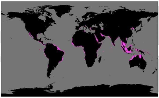 Les îles devront être installées dans des eaux calmes et ensoleillées, à proximité des côtes.