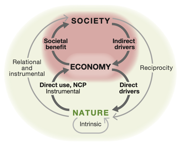 How the oeconomy operates with the economy as the fundamental mediator between nature and society