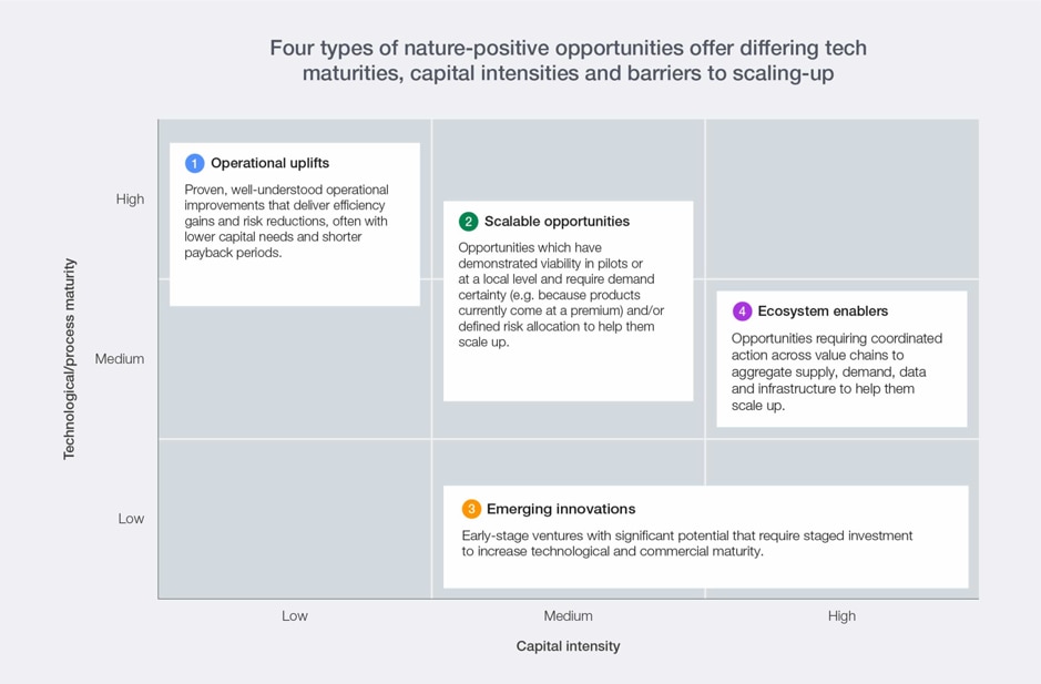Nature-positive investible opportunity archetypes