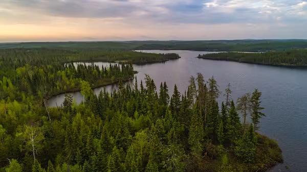 The field of forestry in the boreal zone, with its long-term perspective, is a good example of the need to strike a balance between forest users and conservation of the ecosystem.