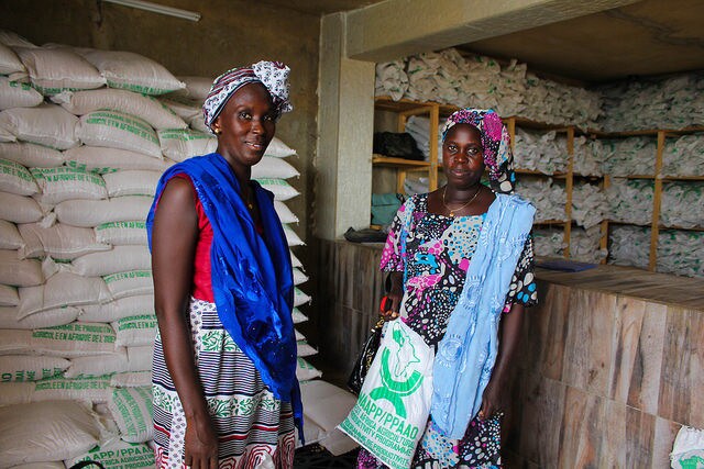 Gérantes de petites exploitations agricoles au Sénégal.