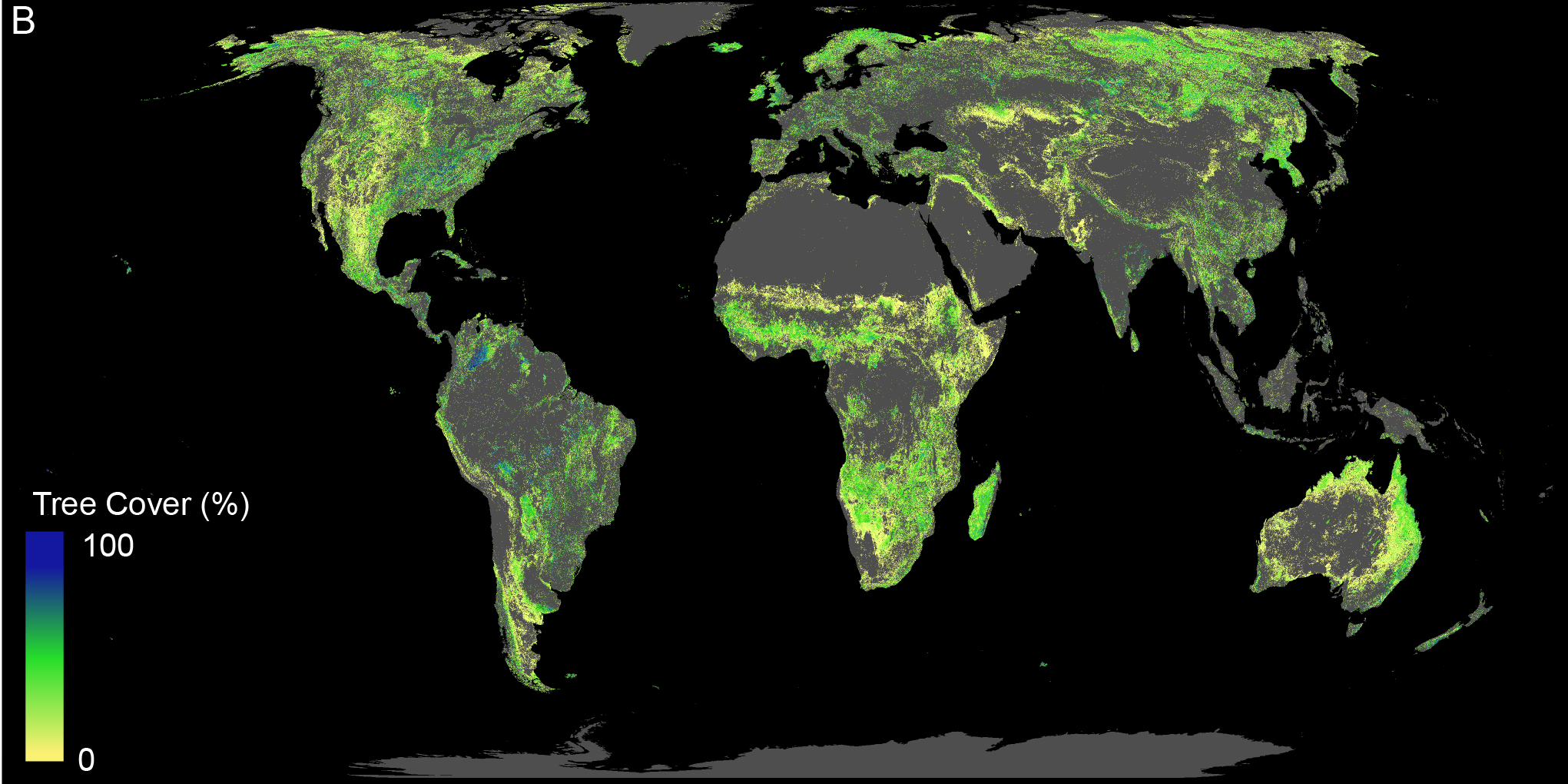 Land available for forest restoration (excluding deserts, agricultural and urban areas; current forestland not shown)