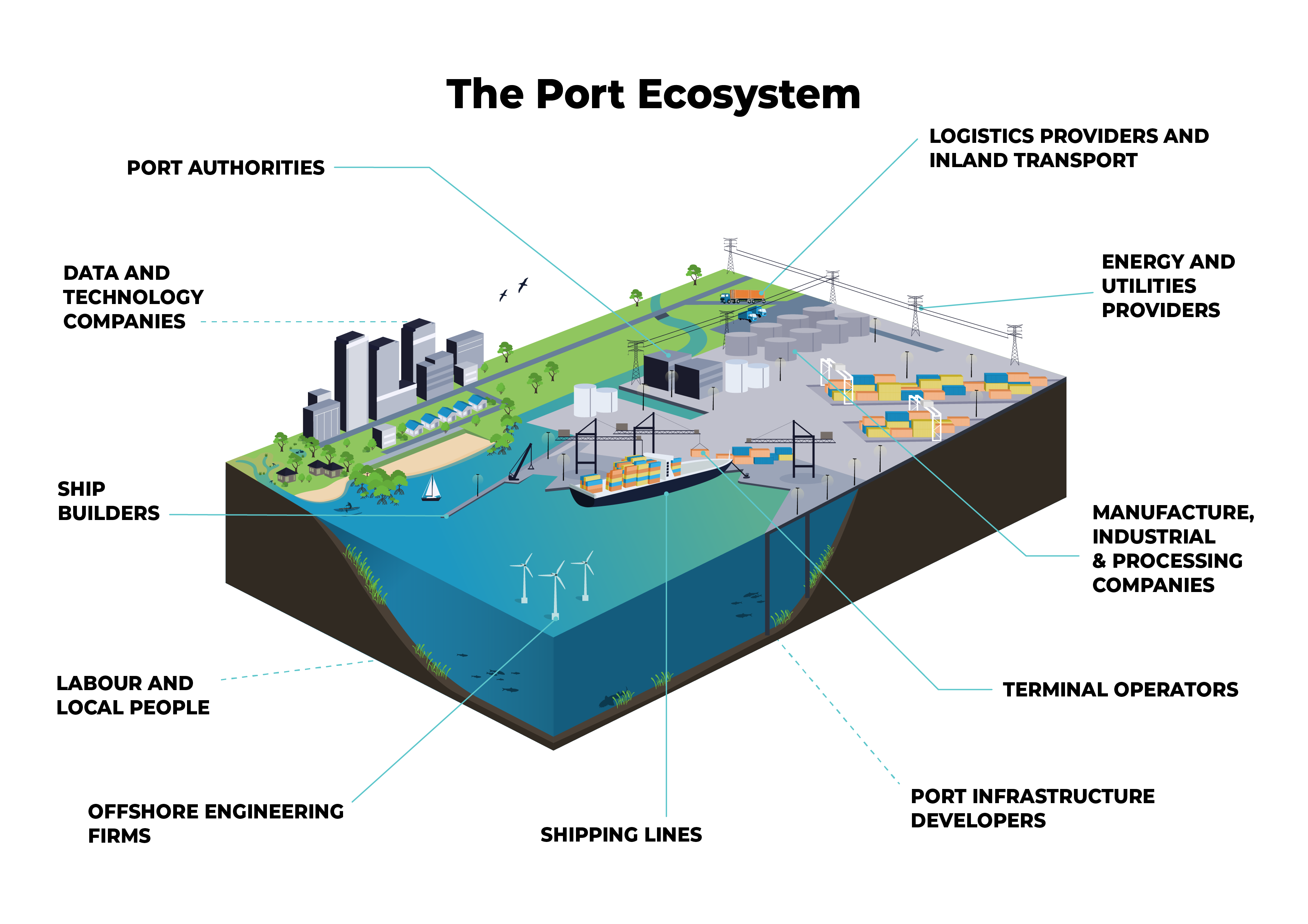 The port ecosystem.