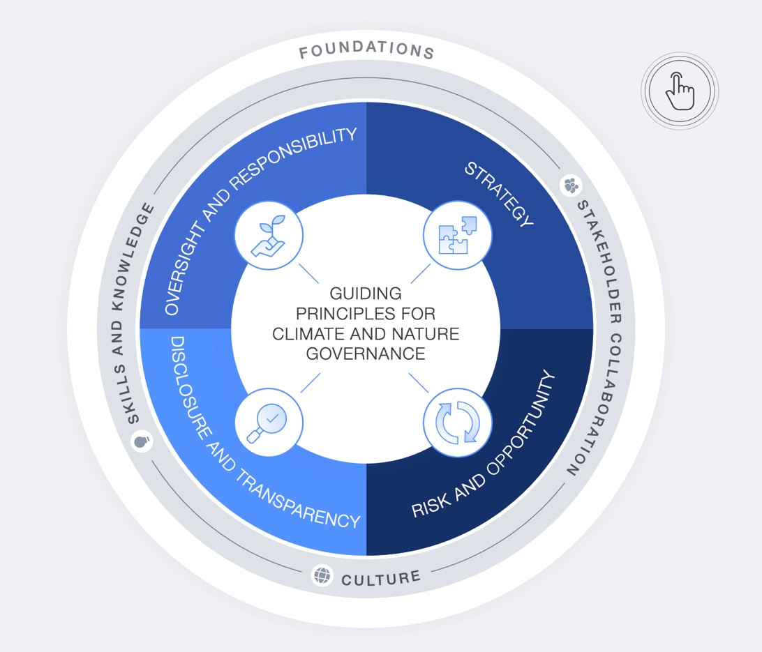 Guiding principles for climate and nature governance