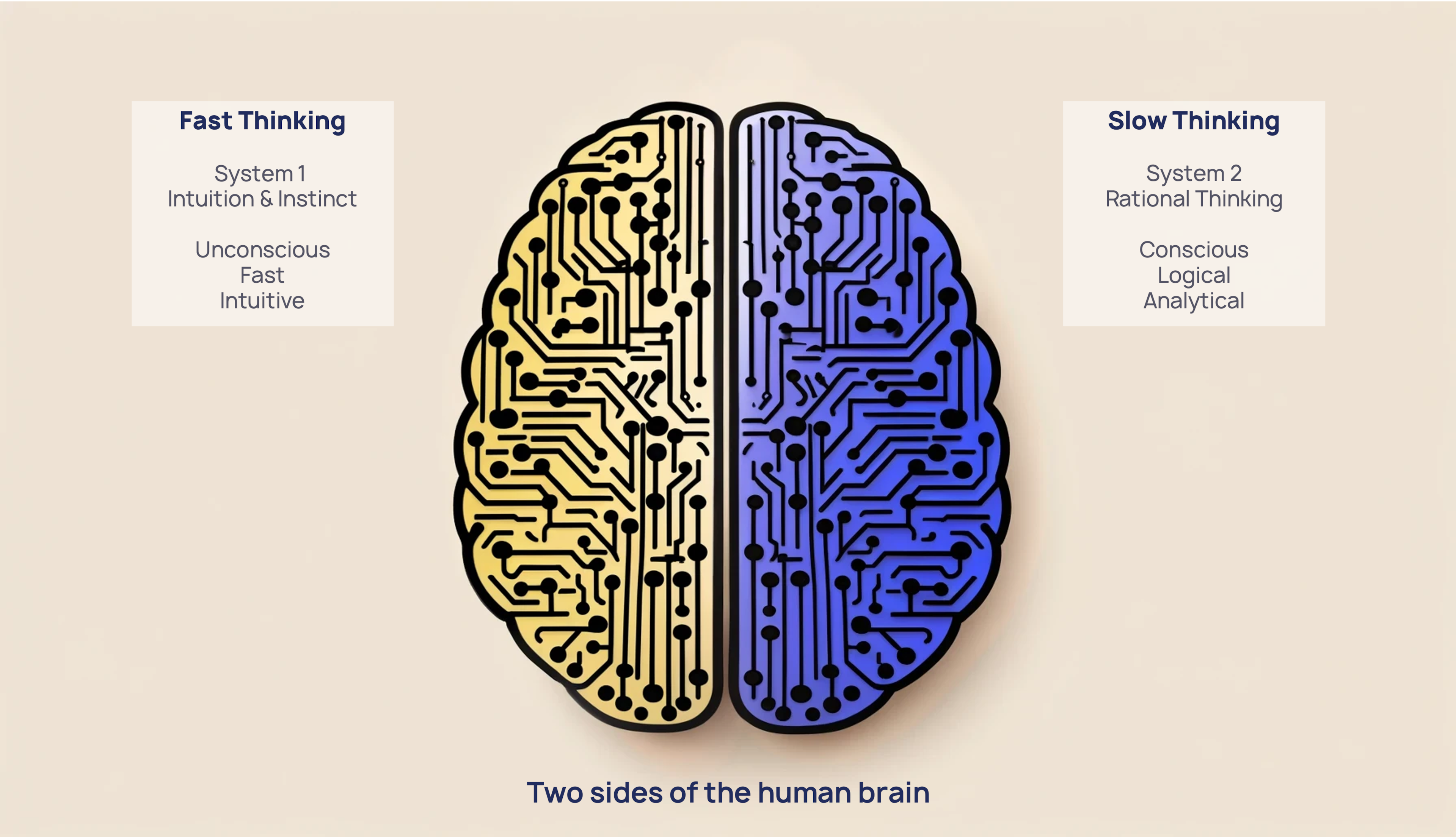 The combination of causal AI and GenAI resembles the two sides of the human brain.