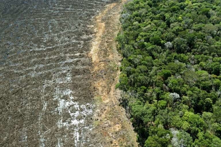 Vue aérienne d'une zone de déforestation de la forêt amazonienne, le 7 août 2020 près de Sinop, dans l'Etat du Mato Grosso, au Brésil.