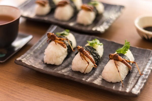 Les sushis servis avec des sauterelles frites sont populaires en Thaïlande.