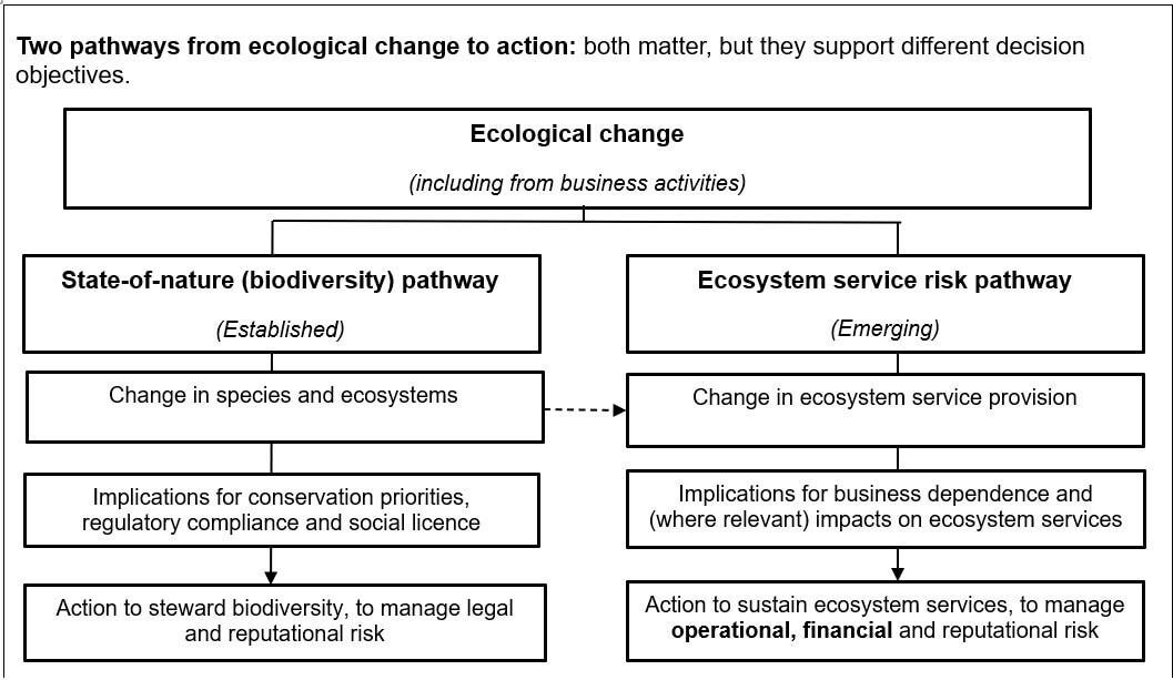 Two pathways from ecological change to action: both matter but they support different decision making objectives