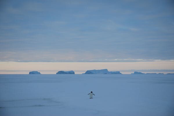 Les grands icebergs tabulaires proviennent de glaciers déversant la glace antarctique dans l’océan.Alexandre Trouvilliez,