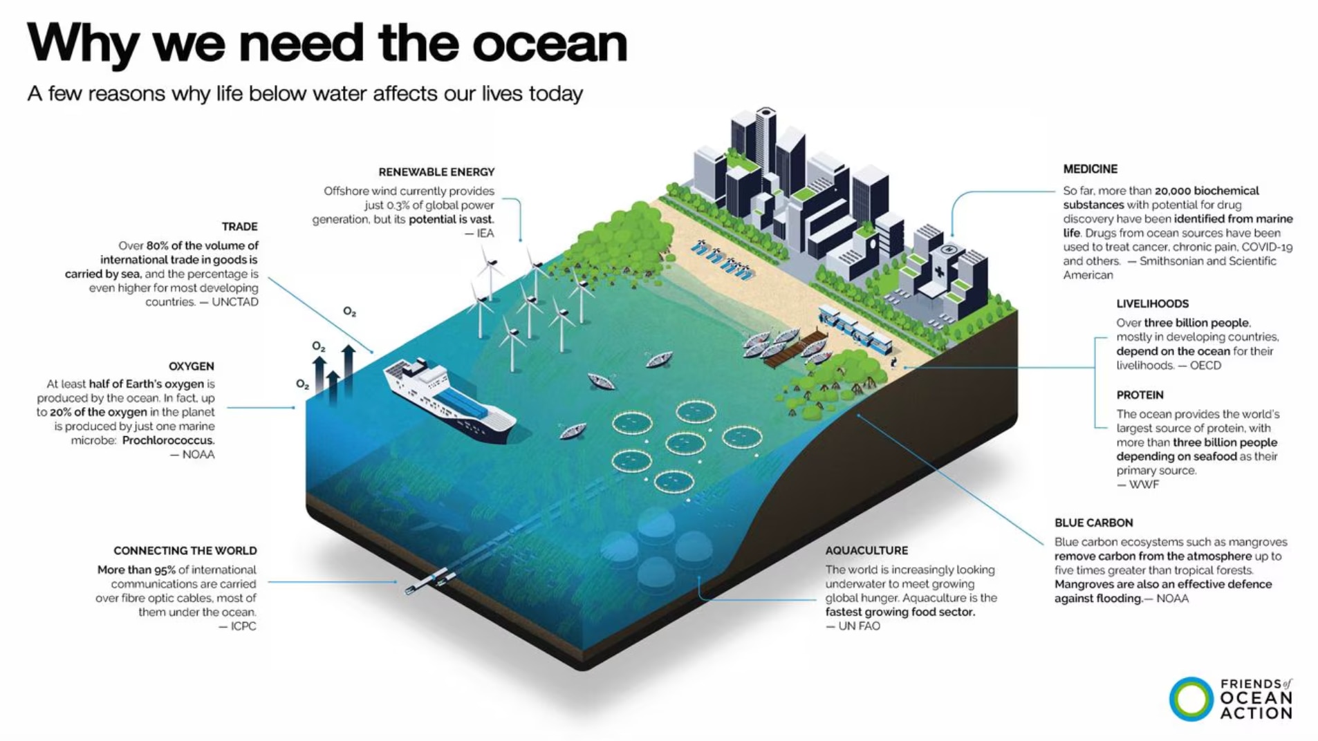Why we need the ocean.