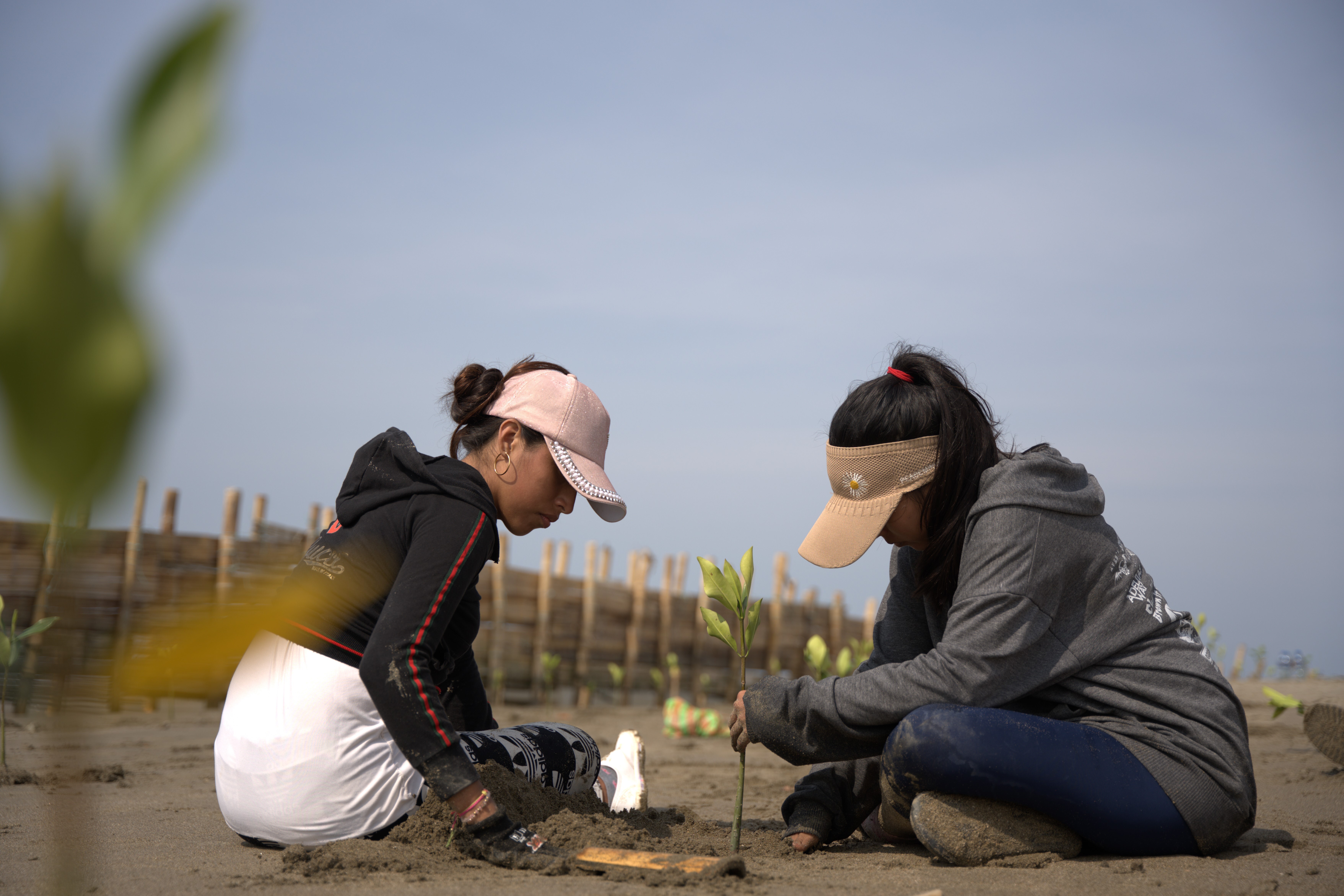 Image source - https://www.weforum.org/stories/2025/11/what-a-unique-approach-to-marine-restoration-can-teach-about-tackling-biodiversity-loss/