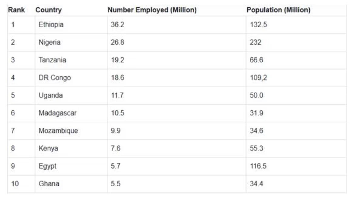 Los 10 países africanos con mayor empleo en la industria agrícola