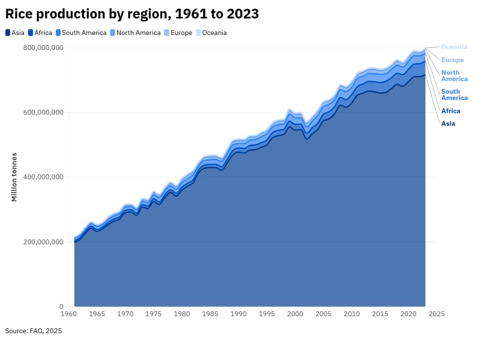 Rice: How the world’s staple is under pressure | World Economic Forum