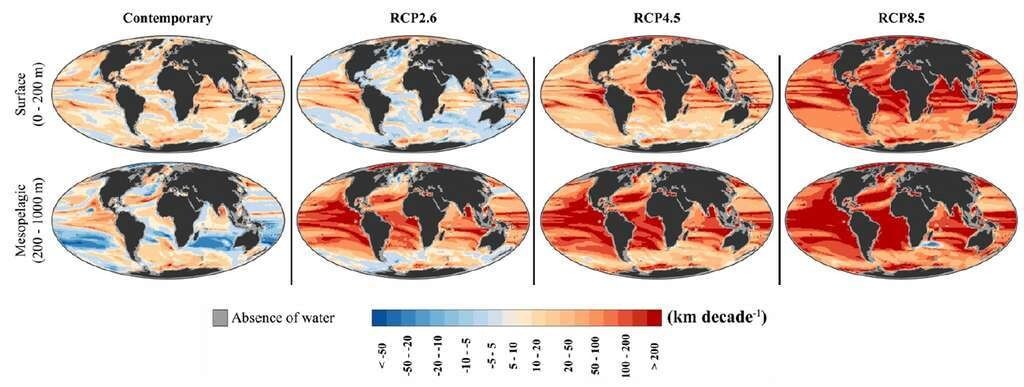 La vitesse climatique en kilomètre par décennie pour les températures des océans maintenant (1955-2005) et les projections futures (2050-2100) à la surface de l'océan et dans les eaux mésopélagiques selon plusieurs scénarios d'émission de gaz à effet de serre. (RCP2.6, RCP4.5 et RCP8.5).