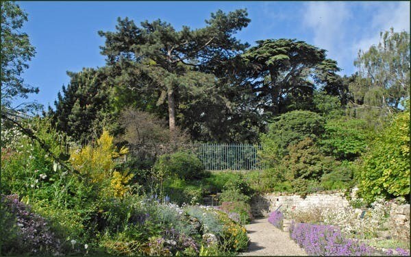 Le jardin alpin du Jardin des Plantes, à Paris, réunit des plantes originaires des différents massifs montagneux français.
