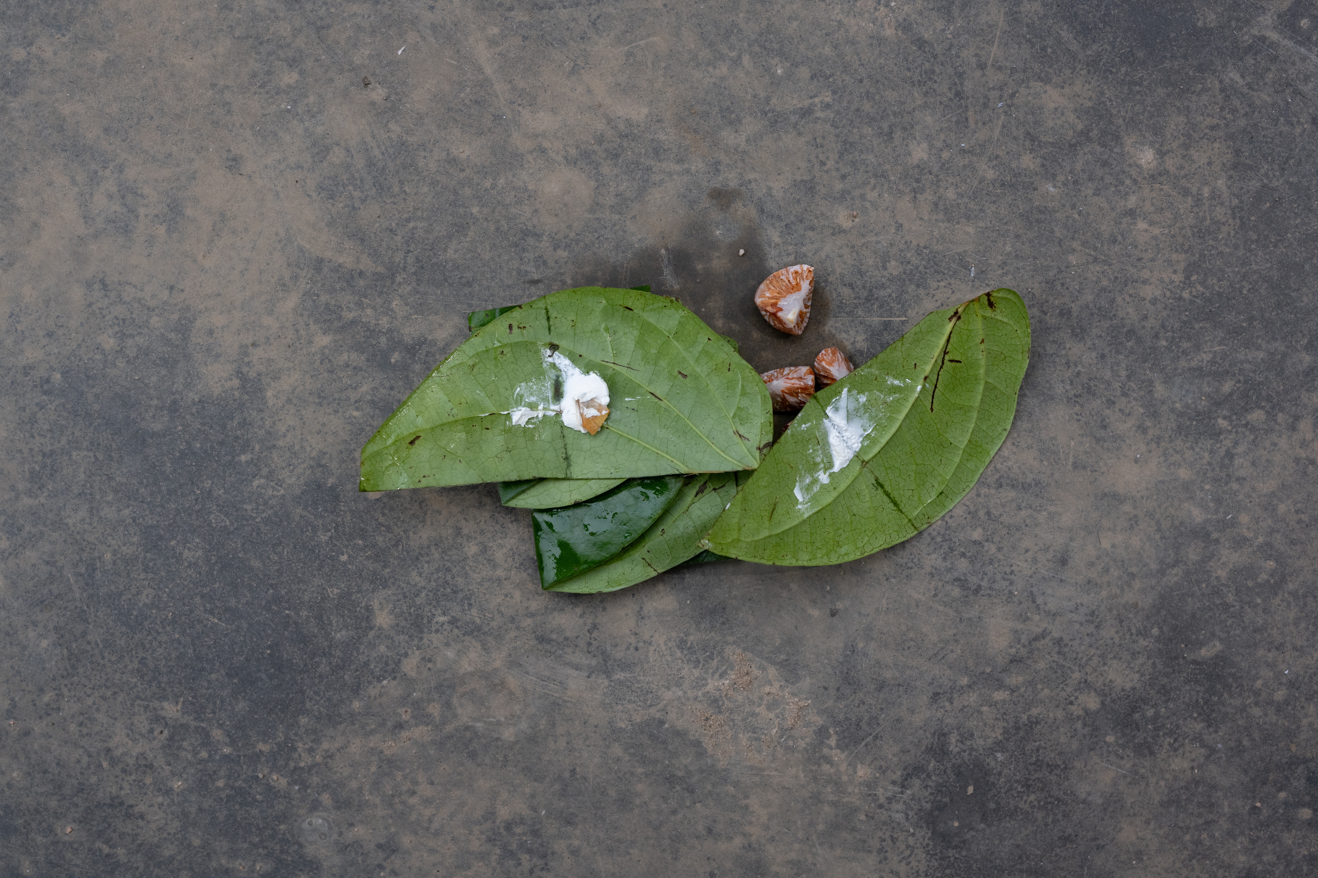 Betel leaf prepared with areca nut and lime, commonly chewed across Meghalaya and often mixed with tobacco.