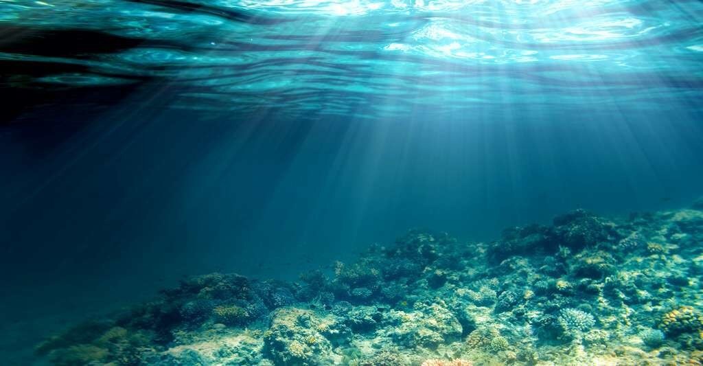 Jusqu’à 200 mètres de profondeur, la température moyenne de l’océan est de l’ordre de 17,5 °C. Puis, elle décroît rapidement pour s’uniformiser entre 0 et 3 °C vers 2.000 mètres de fond. Au final, la température moyenne de l’océan est évaluée à 3,5 °C environ.