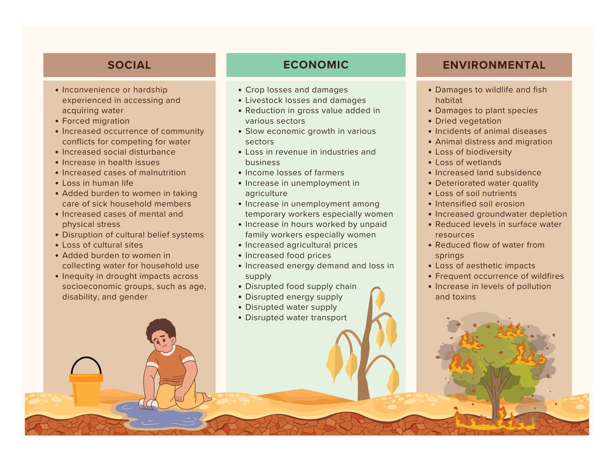 Los impactos sociales, económicos y ambientales de la sequía.