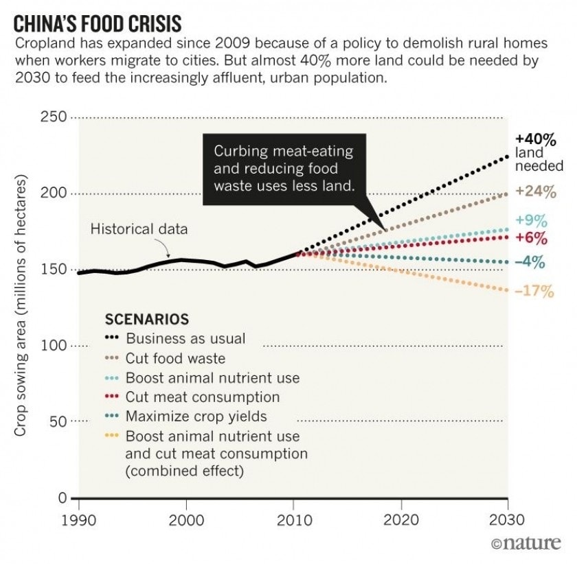 Comment réduire le besoin de terres agricoles en Chine, selon la revue Nature