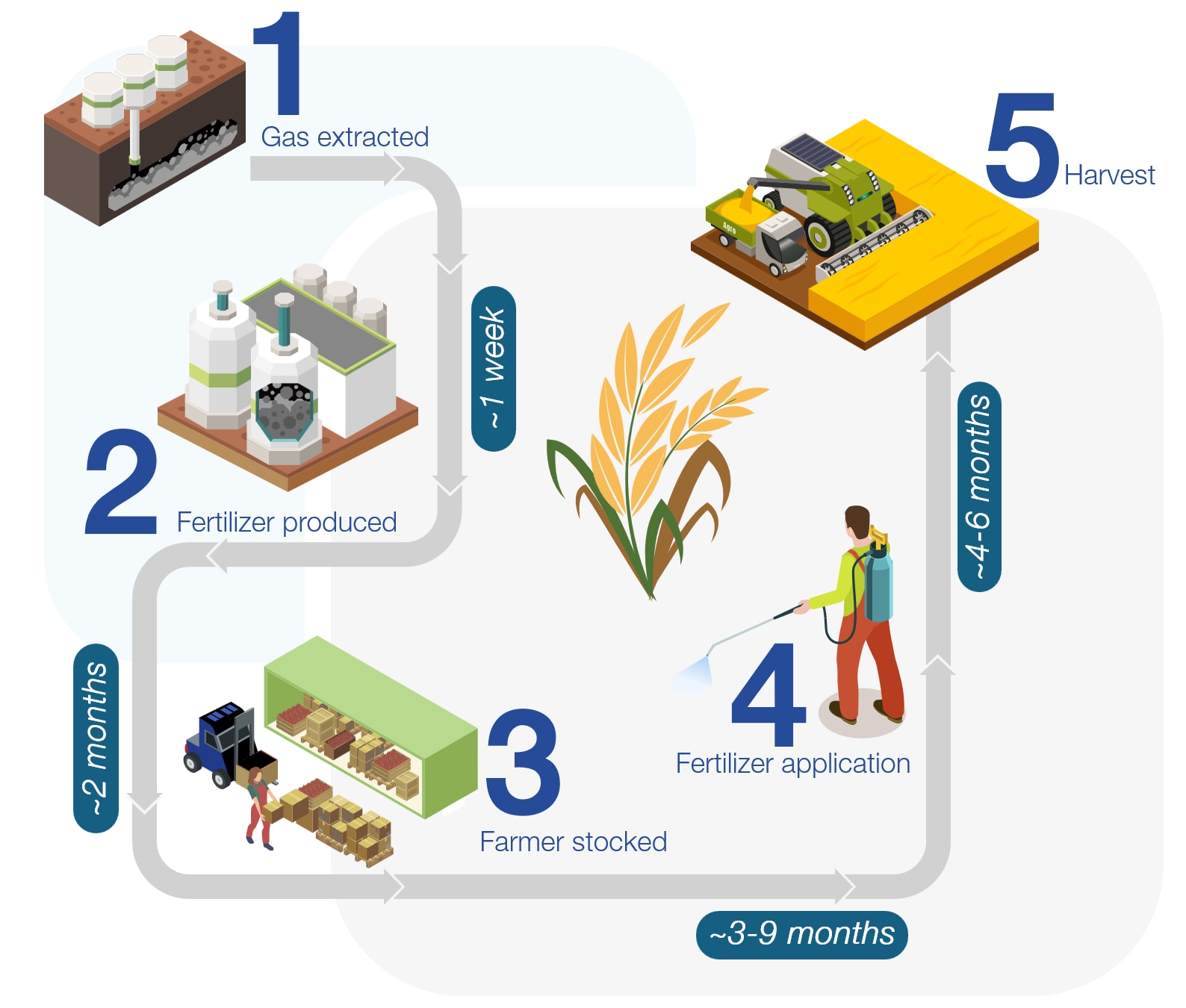 Time delay in the fertilizer value chain