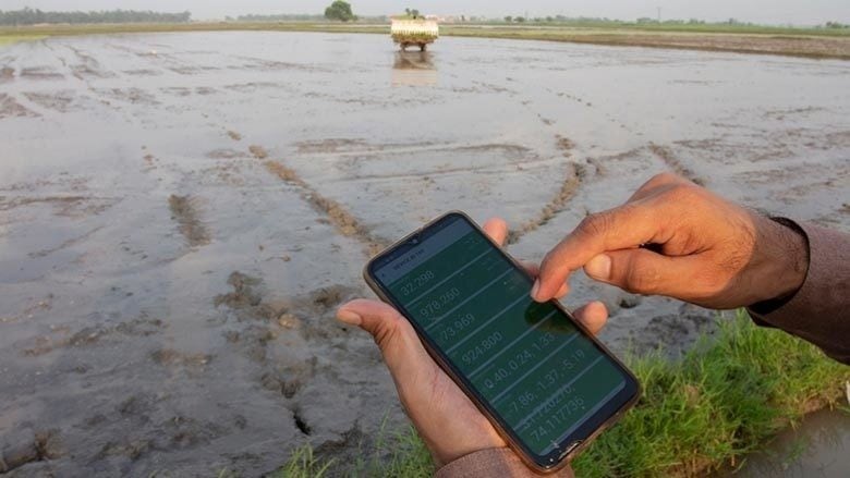 Person using GPS-enabled sensor to track performance of machinery in rice paddy in Pakistan.