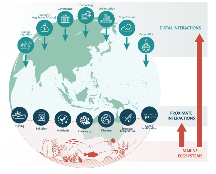 The Seafood Industry Must Pull Our Oceans Back From The Brink World 