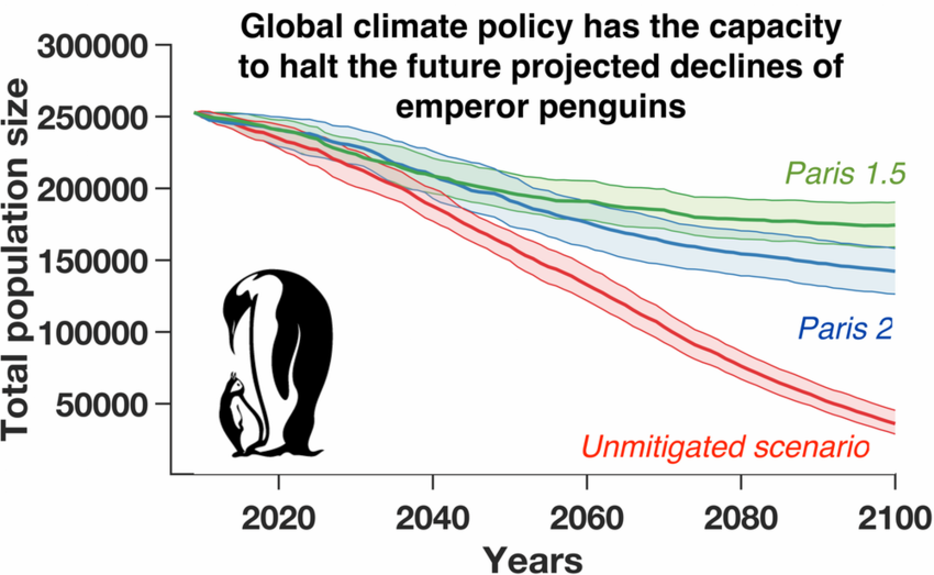 Why emperor penguins might be today's canary in a coal mine | World