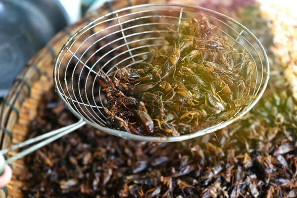 Insectes frits dans une cuisine de rue à Bangkok, en Thaïlande.