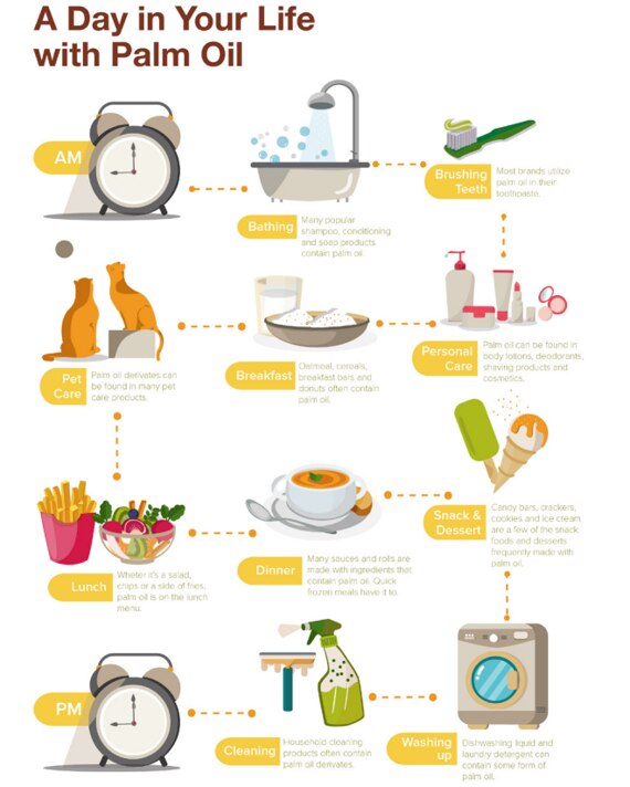 Palm Oil With Malaysia cracking down on production, what’s the