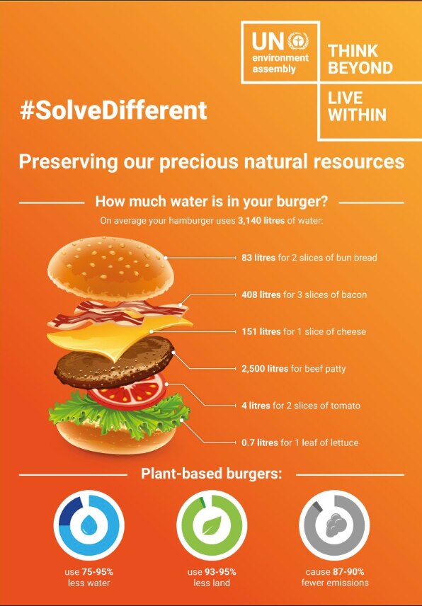 This is how much water is in your burger World Economic Forum