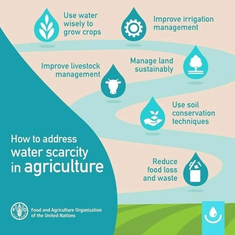 Water management is paramount in agriculture, which accounts for 70% of global water use