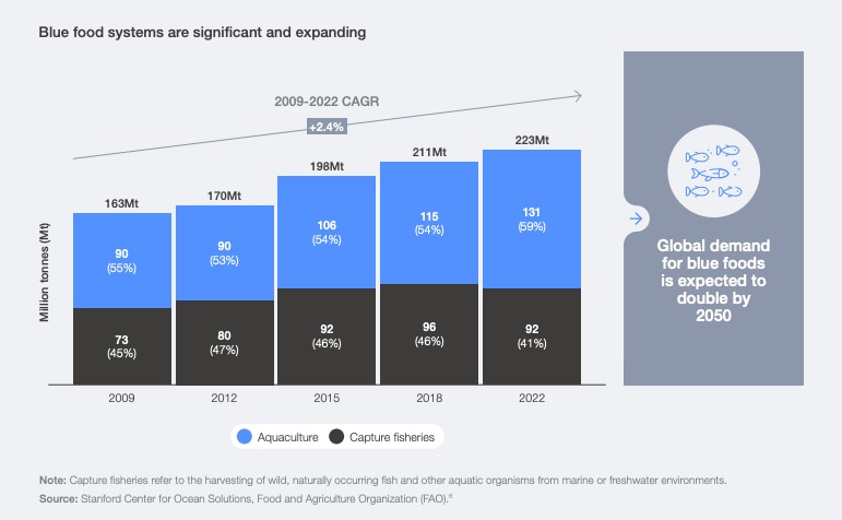 Growth of blue food systems