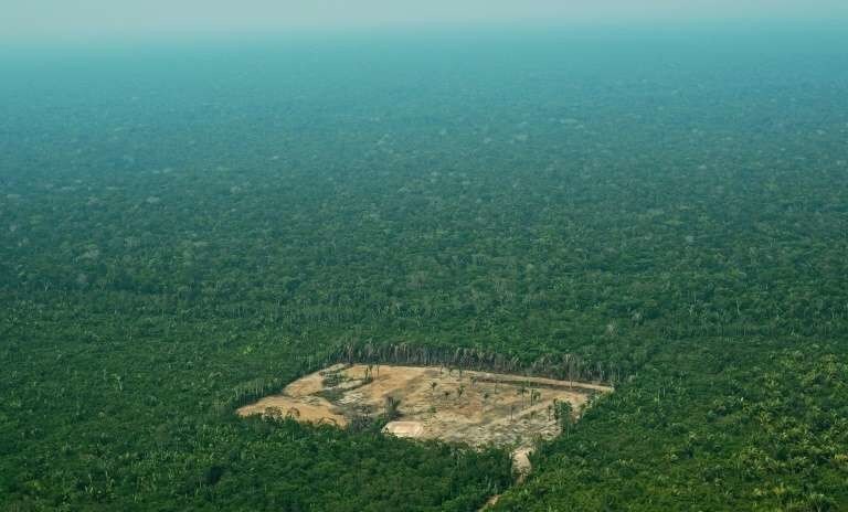 Déforestation et Covid-19 avancent de façon alarmante. L'État d'Amazonas, dont Manaus est la capitale, dénombre depuis le début du mois de mai plus de 500 morts dus au coronavirus, dont de nombreux membres de peuples autochtones, plus vulnérables aux maladies respiratoires.