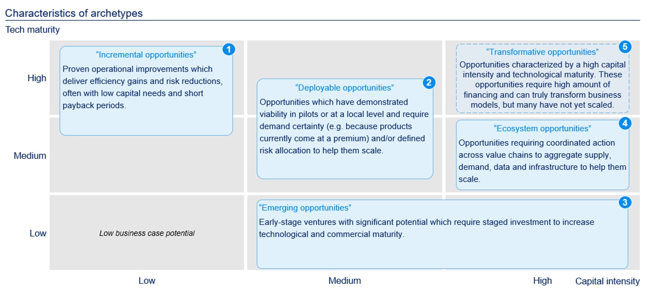 Characteristics of archetypes of nature-positive investible opportunities