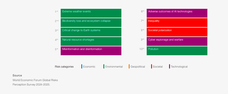 Global risks over the long term (10 years), ranked by severity