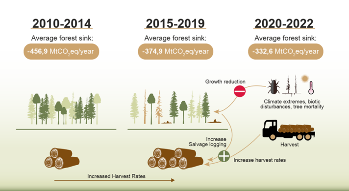 Forests are becoming less efficient carbon sinks.