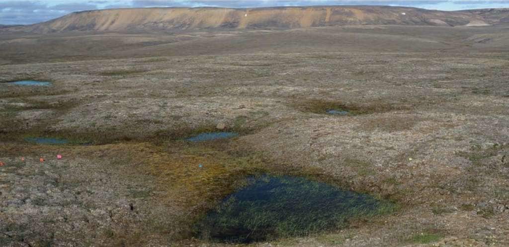 Des lacs créés par le dégel du permafrost arctique comme autant de sources d’émission de gaz à effet de serre.