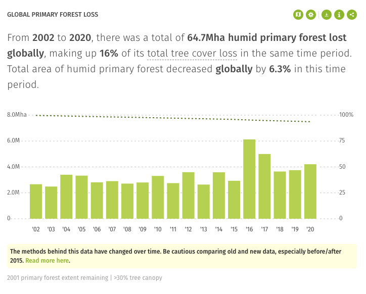 Saving the Amazon rainforest in 10 steps World Economic Forum