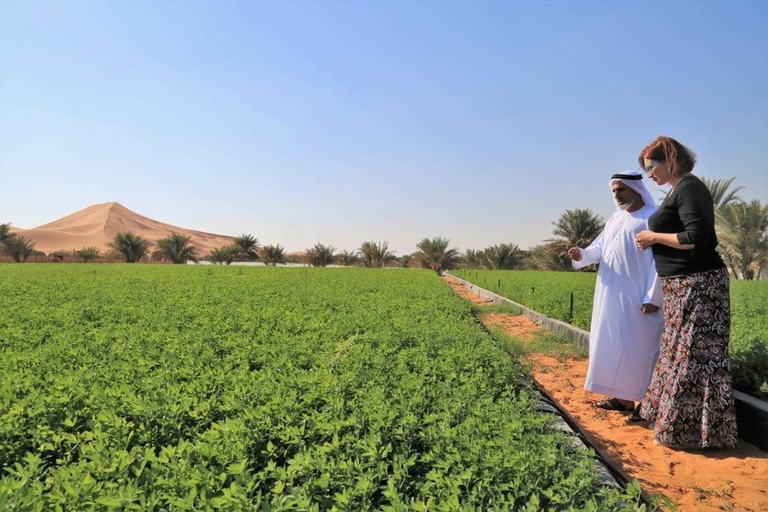 How has the UAE avoided food shortages during the pandemic? World