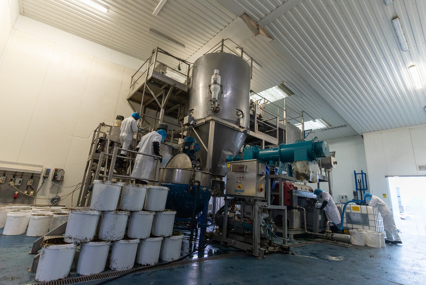 Q&A The startup that believes seaweed can change the world World