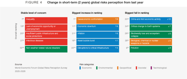 The Global Risks Report 2026 | Foro Económico Mundial