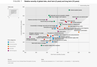 The Global Risks Report 2026 | Foro Económico Mundial