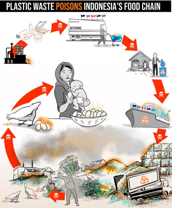 How plastic affects Indonesia's food chain.