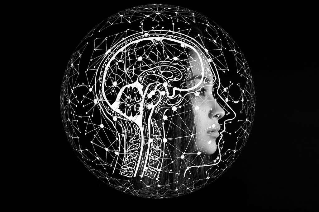 L’usage fréquent d’appareils électroniques semble réduire l’activité de certaines régions de notre cerveau : le cortex insulaire gauche et le gyrus frontal inférieur. Deux zones parmi les plus importantes pour le traitement de l’information, car elles permettent, entre autres, de prêter attention et de comprendre le langage.
