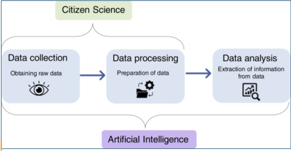 AI meets citizen science to supercharge ecological monitoring.